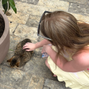 avatar 𝘥𝘢𝘯𝘪𝘦𝘭𝘢 🍒