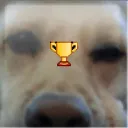wookiesla420