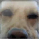 wookiesla420