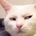 pennylu_0018