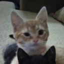 SaltyFreakz member profile picture