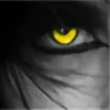 afterlifebg