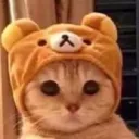 yunonosumoo