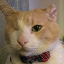 walt4thewin4137#1143's avatar