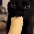 lenny_