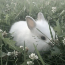 avatar 𝐚𝐧𝐚 ⟢