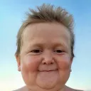 fxgogi