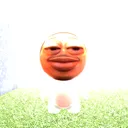 jpegmatthew