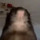 matsratz
