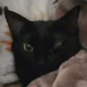 avatar 𝕽𝖔𝖉𝖗𝖎