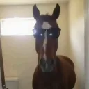 evilneli