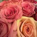 avatar McPricenstein