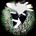 avatar CIGAY_NOT4REAL