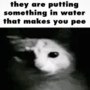 10pip