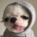 jayzeo member profile picture