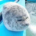 avatar seal of ellipsodiality