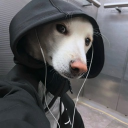 still_thegameriot64#5127's avatar