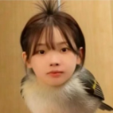 avatar ! æ幼稚珉æ!