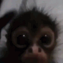 billy2277