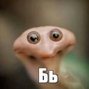 savvanalitov's avatar