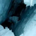 krevace