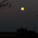 avatar 𝕸𝖊𝖗𝖈𝖚𝖗𝖞