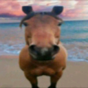 avatar Horse