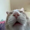 aclips