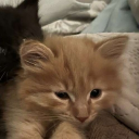 avatar Rozpalony Lester 🥰