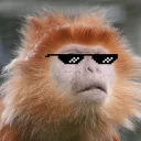 wmdan