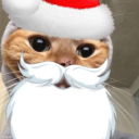 avatar SUPER JOLLY RYAN