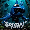 washycag