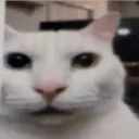 mau2225 avatar
