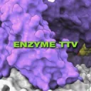 enzyme5408