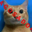 avatar BerlyProFight