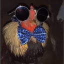 pollorei