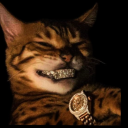avatar Kipo