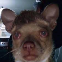 pogey_king#9359's avatar