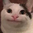 griffdbd