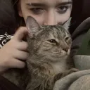 .sleepii.