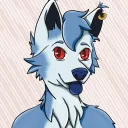 rainepaws