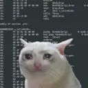 regusr