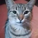 sebastiangd08