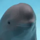 naruk4mifury