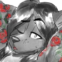 orlandowolf
