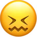 rolling_yoppi
