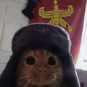 avatar ‧₊˚♡𝑺𝒂𝒔𝒊𝒂𝒂‧₊˚♡