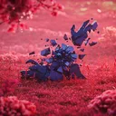 shatteredfusion