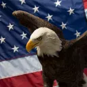 americaneaglefoundation