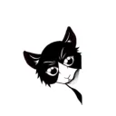 ioly_